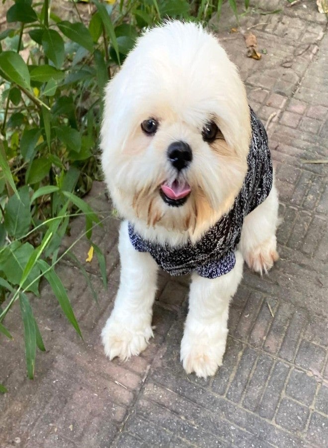 Lulala Dog Sweater for Small Dogs Winter | Warm Woolen Pet Sweater for Shih Tzu, Pomeranian, Maltese | Soft Knit Dog Clothes for Puppy | Black & Grey Stylish Winterwear - Image 5